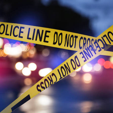 Solving the Case of True Crime's Popularity