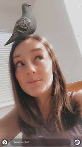 My Life & Friends as Pigeons