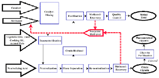 Microsoft Word Green Chemistry Biodiesel Made With