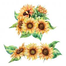 Free Free 348 Sunflower Border Svg Free SVG PNG EPS DXF File