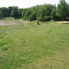 Compare prices & save money with tripadvisor (world's largest travel website). Spielplatze In Erftstadt Kottingen Auf Spielplatztreff De