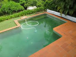 How you can remove algae from your pool! Swimming Pool Algae What It Is And How To Remove It Pool Calculator