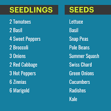 A partir de ahora también tendrás di. News Archives Denver Urban Gardens