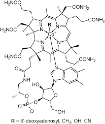 Vitamin b12 overview for health professionals. Vitamin B12 Wikipedia