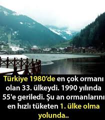 Ayse Akcay Adli Kullanicinin Ilginc Seyler Panosundaki Pin Goruntuler Ile Bilgi Biliyor Muydunuz Gercekler