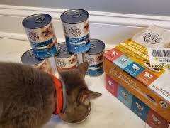 I had tried different litters, carefully and slowly, purchased another bigger open litter box, tried everything suggested. Unbiased Dr Elsey S Cat Litter Review 2021 We Re All About Cats