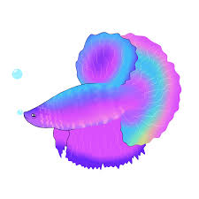 See more of happy betta fish on facebook. Happy Betta Fish Sticker By Bangerooo For Ios Android Giphy