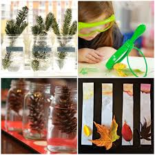 Now, invite your preschoolers to come and explore their new fall math and science center! Must Try Simple Fall Science Activities Preschool Inspirations