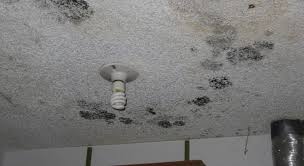 I typically use regular kilz. Black Spots On The Bathroom Ceiling Flood Water Damage Honolulu Oahu Hawaii Md Restoration