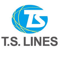 The target audience for teamspeak is gamers, who can use. T S Lines Ltd Linkedin