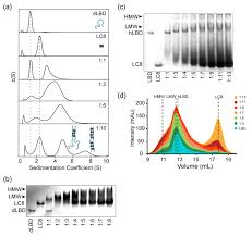 When i tried to run sample or preview, there was a box out saying detector need to be calibrated. Multivalency Regulates Activity In An Intrinsically Disordered Transcription Factor Elife