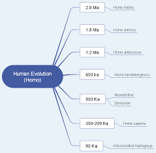 Human Evolution Mind Map Free Human Evolution Mind Map