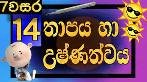 Grade 7 Science Lessons Sinhala Medium Lesson 14 Heat Temperature Youtube