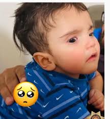 Emotional support dog killed by reckless driver