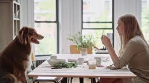 Amanda Seyfried Talks Family Ted 2 And Finding Love On Instagram Vogue