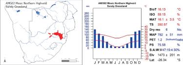 Image result for Kotschya africana