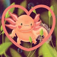 Maybe you would like to learn more about one of these? Axolotls Gifs Get The Best Gif On Giphy