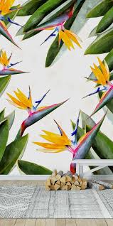 Tropical Birds Of Paradise Wallpaper Bird Of Paradise Wallpaper Paradise Wallpaper Mural Wall Murals