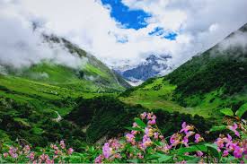 Check spelling or type a new query. Valley Of Flowers Tourism 2021 India Trek Travel Guide Holidify