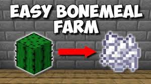 Easiest bonemeal farm tutorial in minecraft bedrock (mcpe/xbox/ps4/nintendo switch/windows10). 1 16 Easiest Way To Get Bonemeal In Minecraft Auto Bonemeal Farm Youtube
