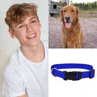 Favorites Gallery for Megs25199 -- Fur Affinity [dot] net