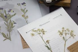 Kostenlose übungen und vorlagen für ein herbarium für biologie in der 5. Herbarium Vorlagen Ein Eigenes Herbarium Anlegen Schritt Fur Schritt