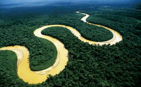 Gobernador regional precisó que vienen burlando control por el río acre. Madre De Dios Rive Peru Machu Picchu Travel Agency Tours To Machu Picchu Peru