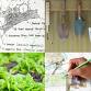 Site Design for food growing - Sheepdrove Organic Farm & Green Events Venue, Nutwood House, Sheepdrove Rd, Sheepdrove, Lambourn Event Image