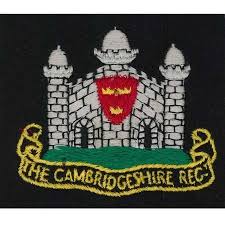 Search for "Maxted" in lastname