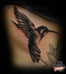 Realism Black White And Gray Contrast Depth Hummingbird Tattoo Hummingbird Tattoo Black Birds Tattoo Hummingbird Tattoo