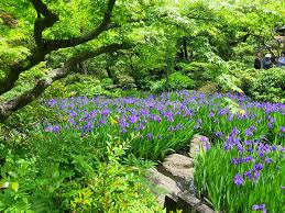 Résultat de recherche d'images pour "nezu garden"