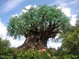 Walt Disney World Photo Tree Of Life Animal Kingdom Disney Animal Kingdom Theme Park Disney World Resorts