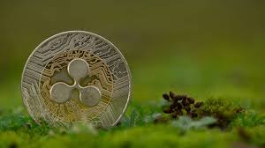 But i think this project could really catch the crypto world by surprise. The 15 Most Sustainable Cryptocurrencies For 2021 Leafscore