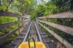 The Rocky Top Mountain Coaster Sets The Record For The Longest Coaster In East Tennessee Alpine Coaster Smoky Mountains Smokies