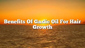 It increases microcirculation in your scalp so that hair follicles can get the oxygen and nutrients they need from your blood. Benefits Of Garlic Oil For Hair Growth On The Web Today