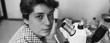 Conversations With Anne Fausto-Sterling