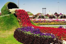Bunga pandeglang is on facebook. Dubai Miracle Garden Taman Bunga Terbesar Dan Terindah Di Dunia M Kapanlagi Com