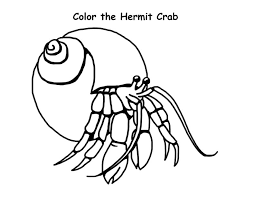 My son is three and my mom recently purchased a few hermit crabs that they care for together. The Hermit Crab Coloring Page Free Printable Coloring Pages For Kids