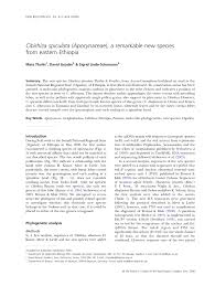 Image result for Cibirhiza