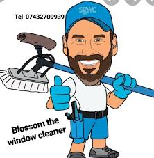 Blossom the window cleaner