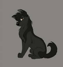 Pin By Dj Wolfgirl On Wolf Cute Wolf Drawings Anime Wolf Drawing Animal Drawings
