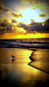 Garden city beach south carolina, 29576. Seaside Rentals Garden City Beach Garden City Beach Sc Beautiful Beach Scenes