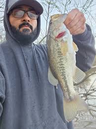 Can't beat 'em this time of year!