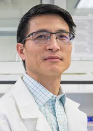 WVU-led research team to study turning carbon dioxide from power plants  into valuable products