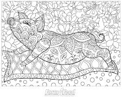 Regardless of any culture, coloring is universally therapeutic and soothing! Form A Feed Coloring Contest Form A Feed