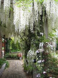 20 Lovely Moon Garden That Wiill Transfrom Your Yard Diy Gardening Garden Gardendesign Gardenideas Moon Garden Magical Garden White Gardens