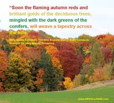 Unique colorful quote stickers designed and sold by artists. Photo Quotes The Color Palette Of Autumn Archi Living Com