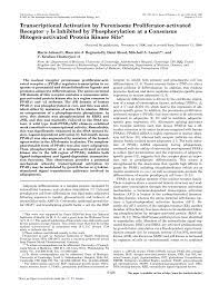 It is widely accepted that tumors are highly heterogeneous. 2