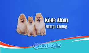 Dilansir dari buku mimpi karya ibnu sirin ternyata, mimpi dikejar anjing gila di hutan ternyata perlu kamu ketahui jika tak semua mimpi dikejar anjing gila di hutan yang anda alami ketika tidur. Kode Alam Mimpi Anjing Menurut Primbon Erek Erek