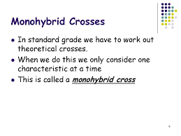 Punnett square terms to learn. Monohybrid Crosses Ppt Download